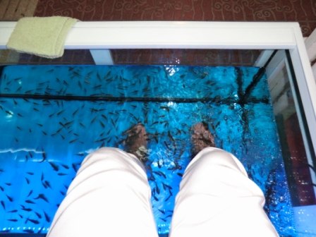 Альбина Богоутдинова | 