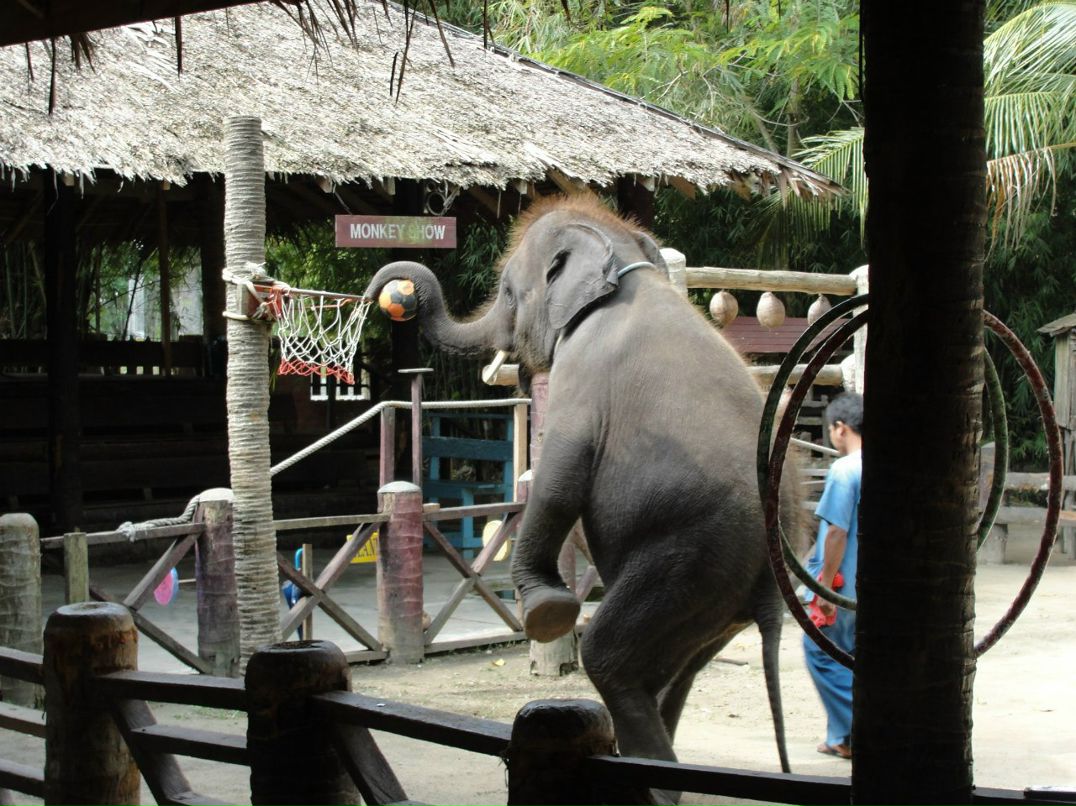 Ольга Протопопова | Москва