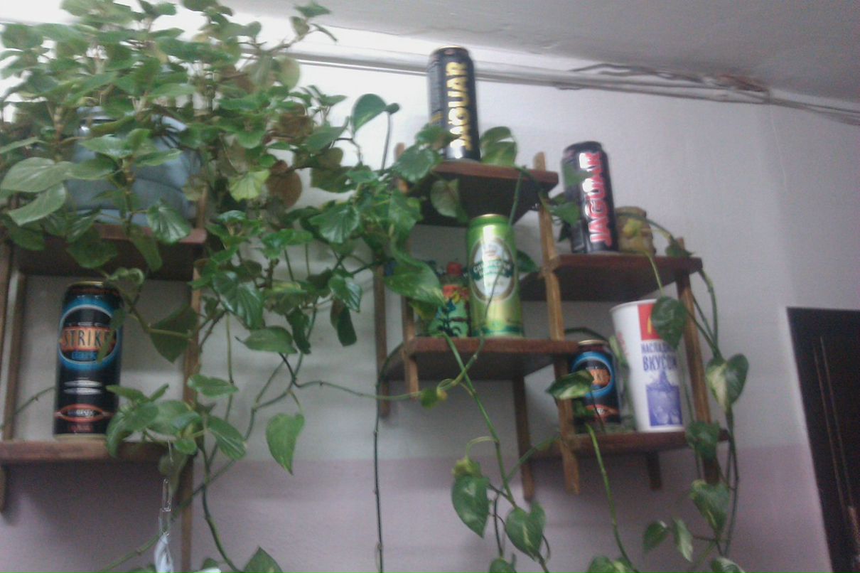 Дмитрий Елисеев OWL | Москва