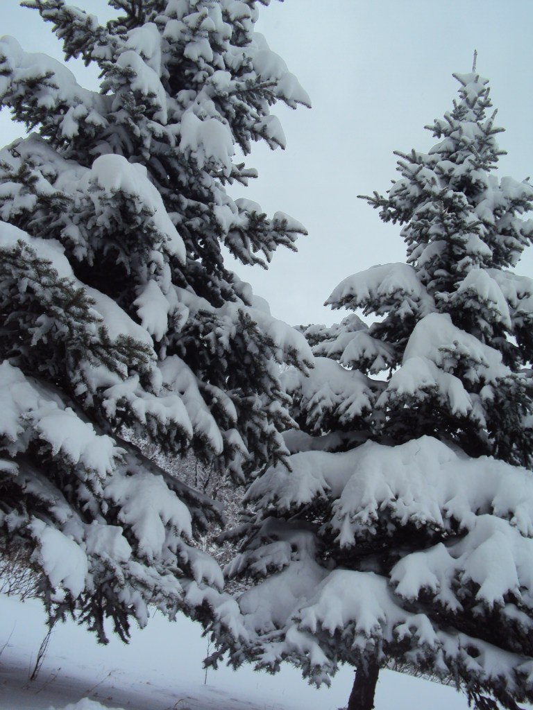 Данька Карпова Cr@zzzY | Заречный