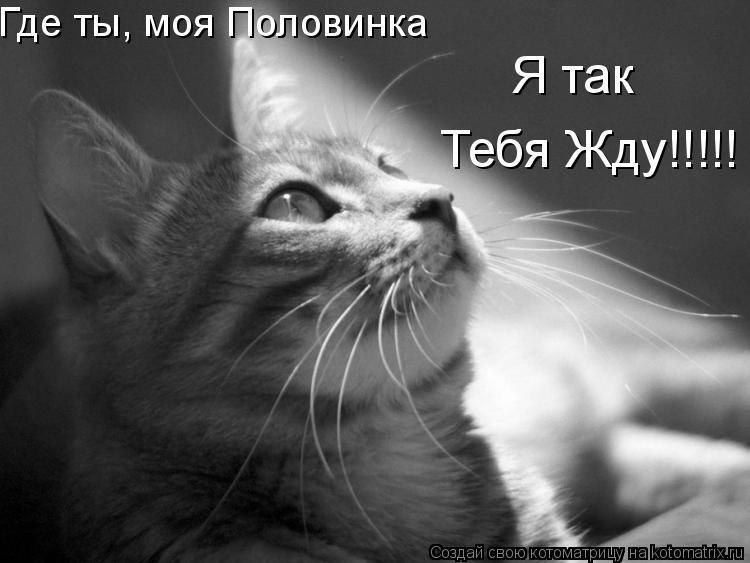 Надежда Волкова | Николаев