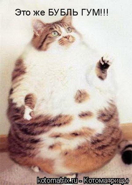 Наталья Федосеева | Санкт-Петербург