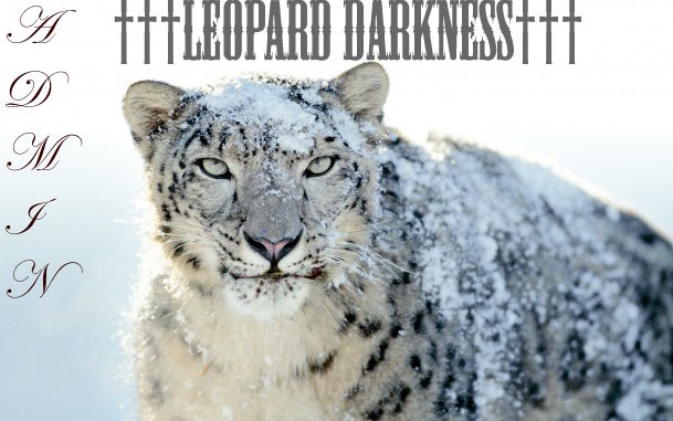 Вадим Каримов | Кармаскалы