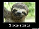 Фотография Григорий Козлов