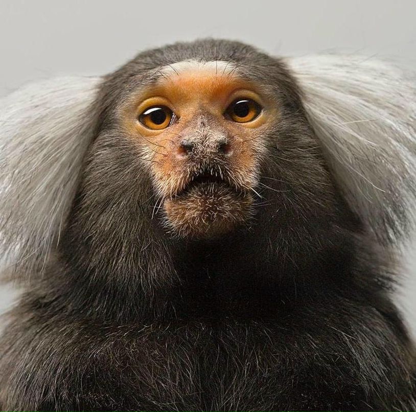 Вадим Новохацкий | Киев