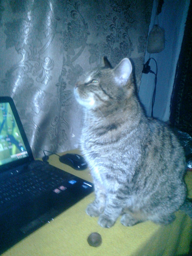 Андрій Кладьков | 