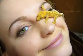 Настя Моховицкая | Москва