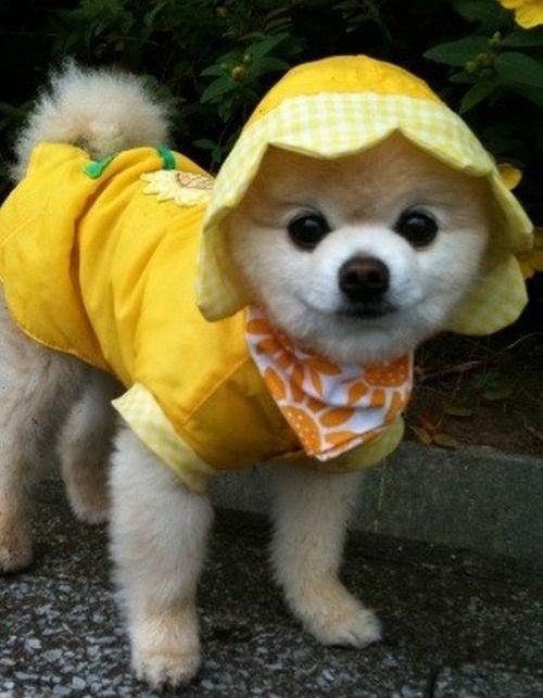 Ya Yo | Волгоград