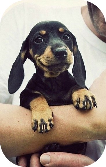 Кира Петрушова | Рыбинск