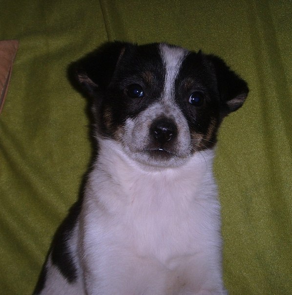 Санька Родионова | Москва