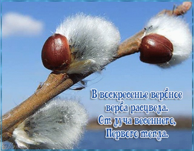 Денис Зяблицев | Ижевск