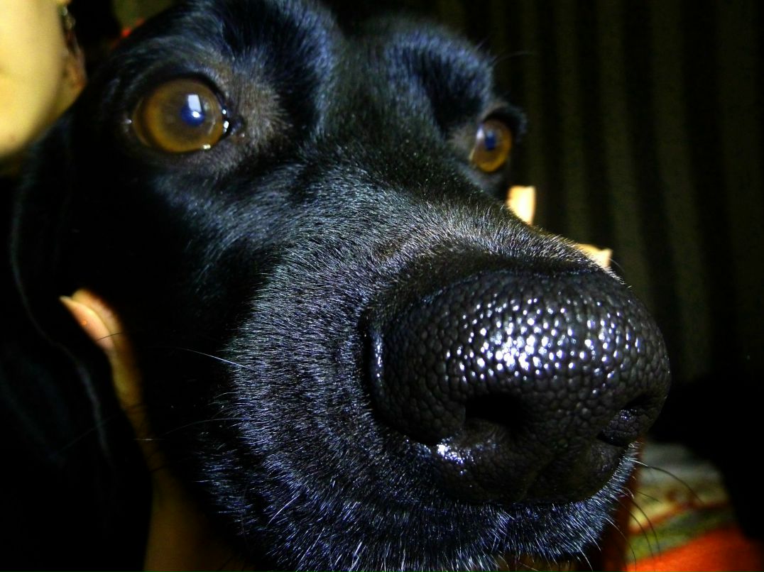 Kristina Nikiforova | Владивосток