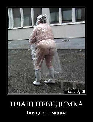 Евгения Пронина-Трифонова | Калининград