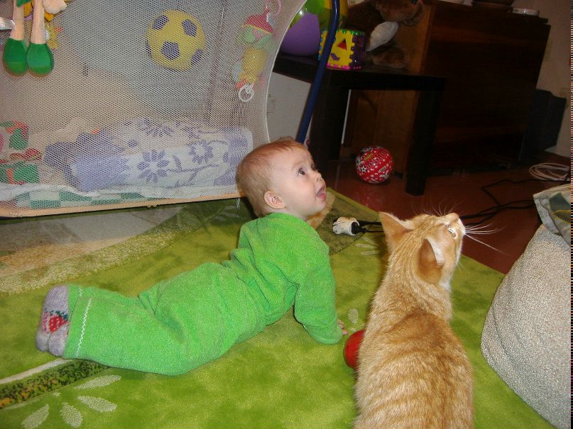 Елена Коновалова | Великие Луки