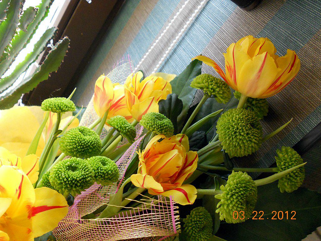 Леа Альтер | Ришон ЛеЦион