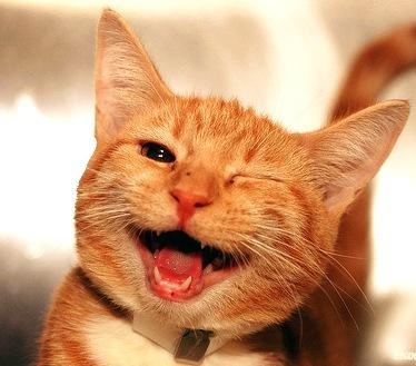 №44, Павел Насенков, Ейск, Россия №44, Павел Насенков, Ейск, Россия