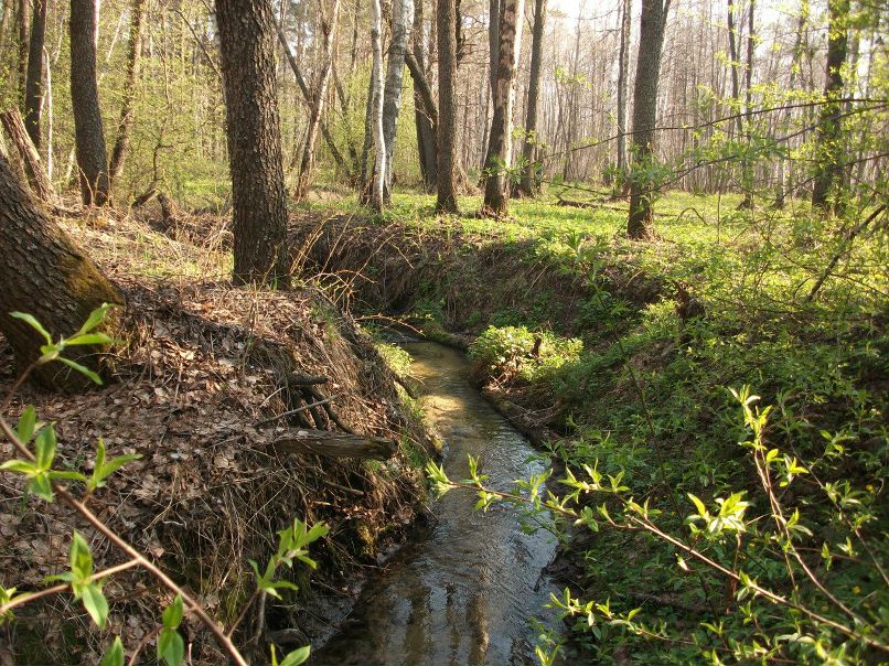 Сергей Потапов | Кузнецк