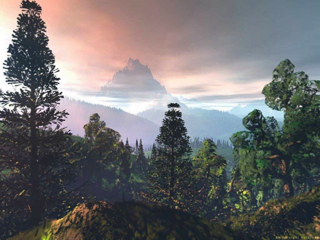 Konkoff Efgenii | Санкт-Петербург