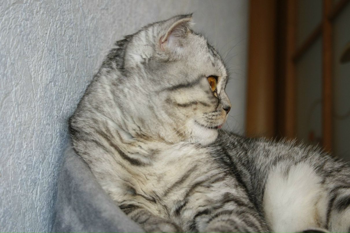 Ольга Склярук | Киев