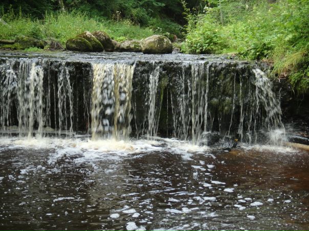 №83, Сергей Сергушенков, 36 лет, Санкт-Петербург №83, Сергей Сергушенков, 36 лет, Санкт-Петербург