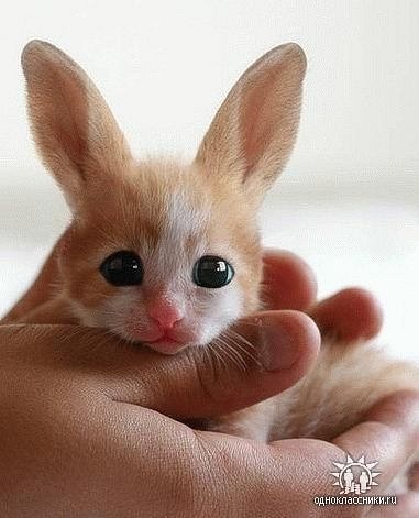 №95, Таисия Казанцева, Мариуполь №95, Таисия Казанцева, Мариуполь