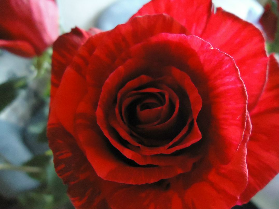 Маришка Маришка | Москва