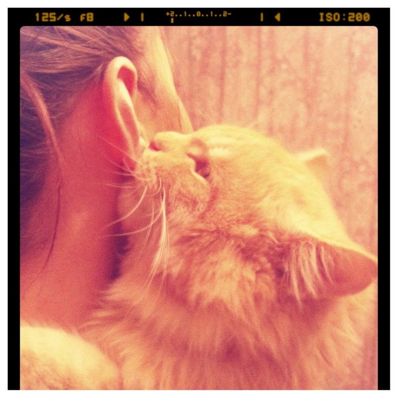 Анастасия Вазанова | 