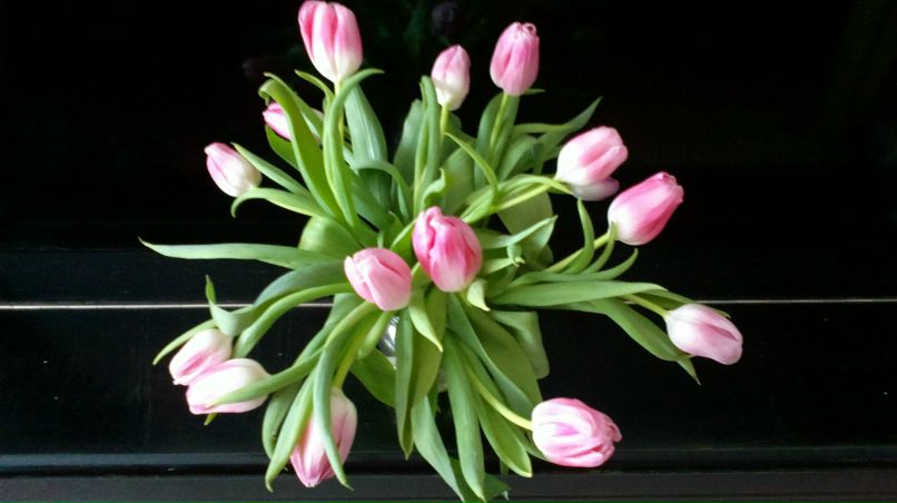 Светлана Говорухина | Апатиты