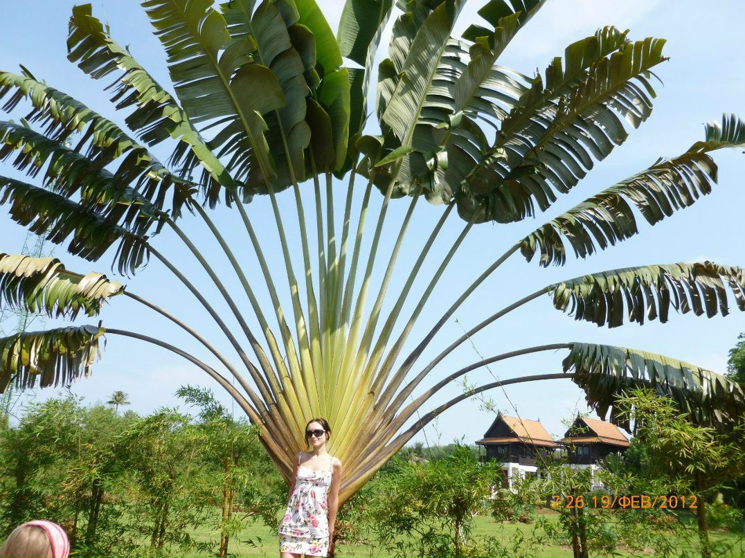 Елена Малышка | 