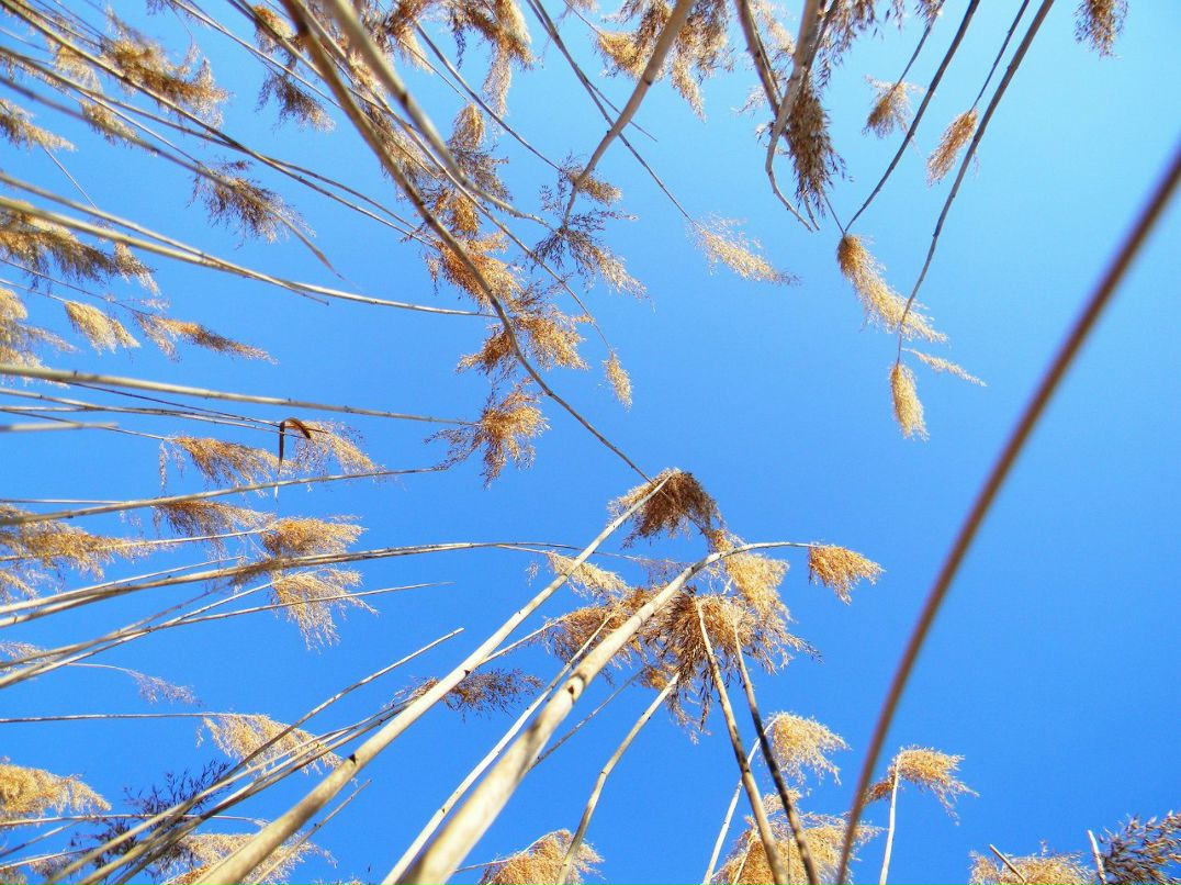 Ірина Гірка | Киев