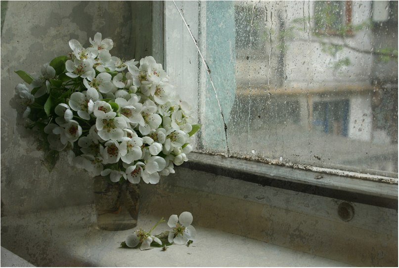 Аня Савина | 