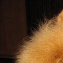 №193, Полина Долгих, 35 лет №193, Полина Долгих, 35 лет