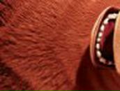 Надюша Майорова | Херсон