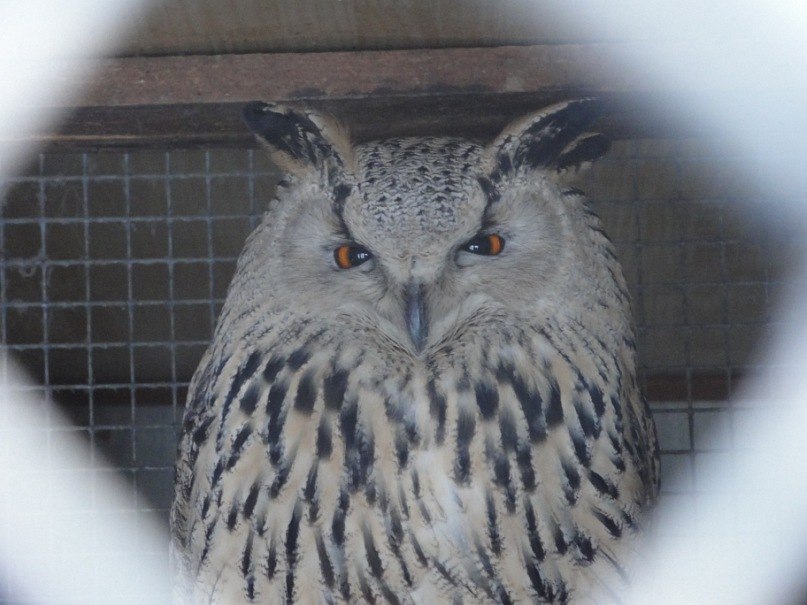 Руслан Зибров | Петропавловск-Камчатский