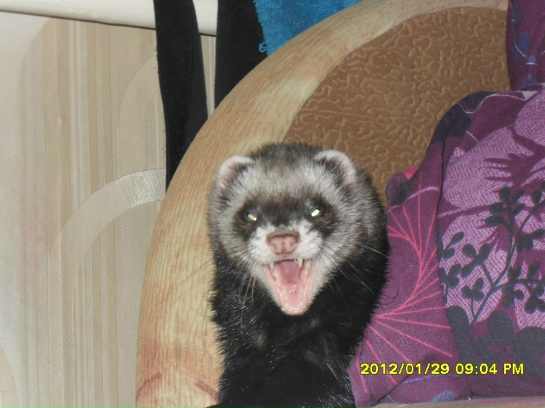 Александра Котова | Санкт-Петербург