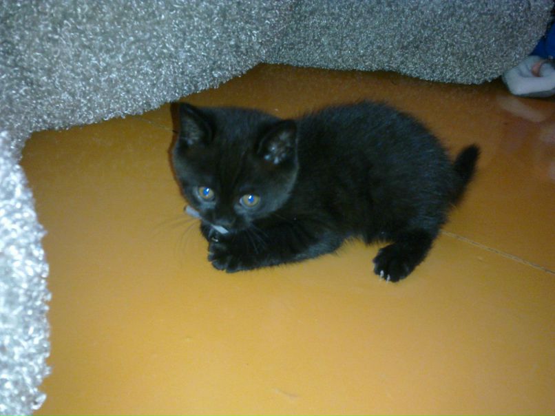 Nelka Lutfullina | Уфа