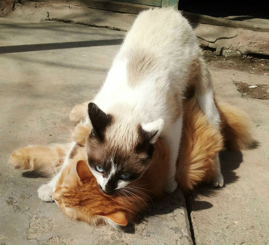 Владислав Жарков | Клайпеда