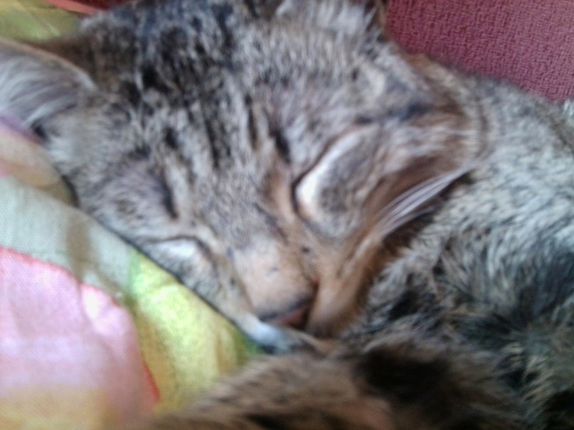 Полина Обухова | Ижевск