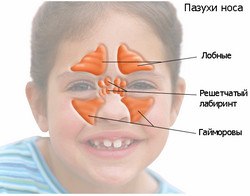 Станислава Новинская | Москва