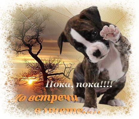 Ринат Гирфанов | Ишеевка