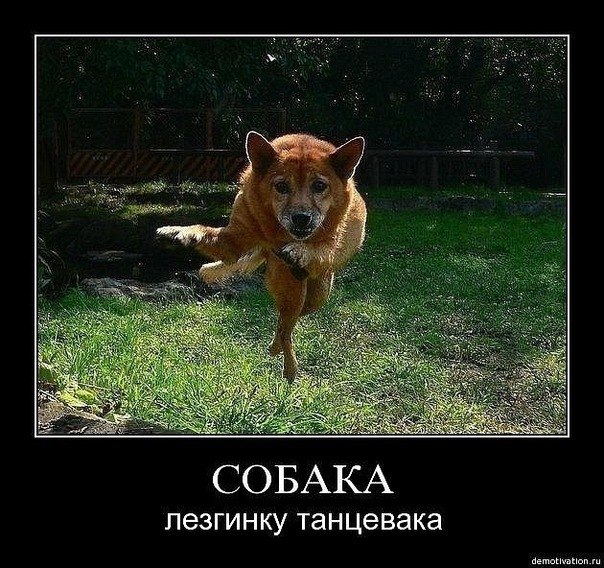 Александр Корч | Ярославль