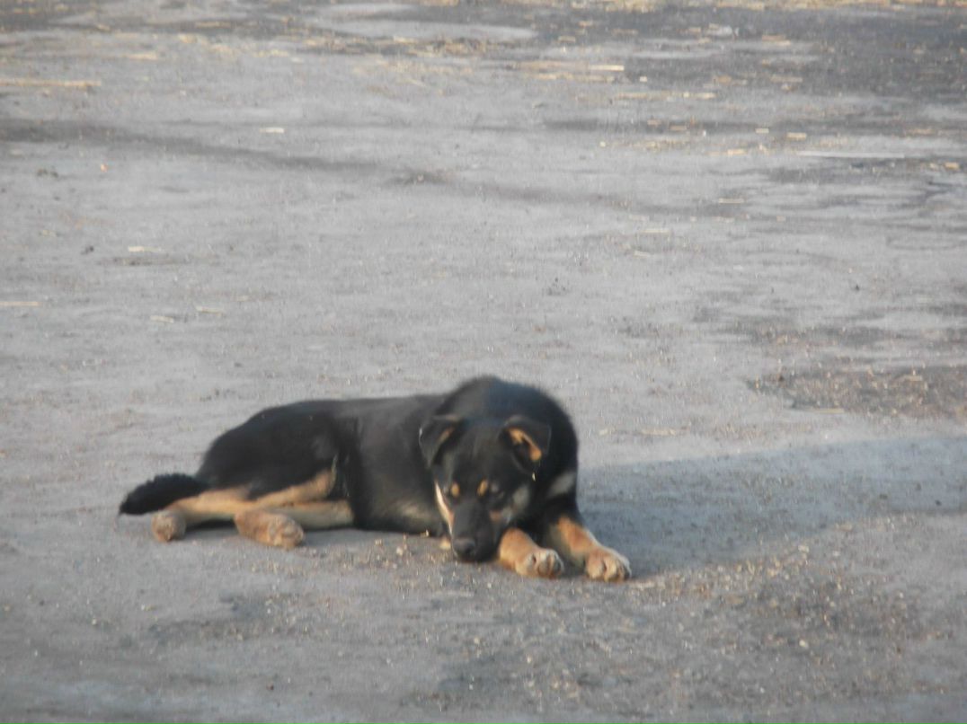 Валерій Ясиновий | Малая Антоновка