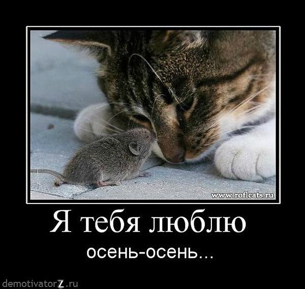 Александр Малахов | Москва