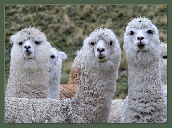 №9, Марина Чернышова, 34 года №9, Марина Чернышова, 34 года