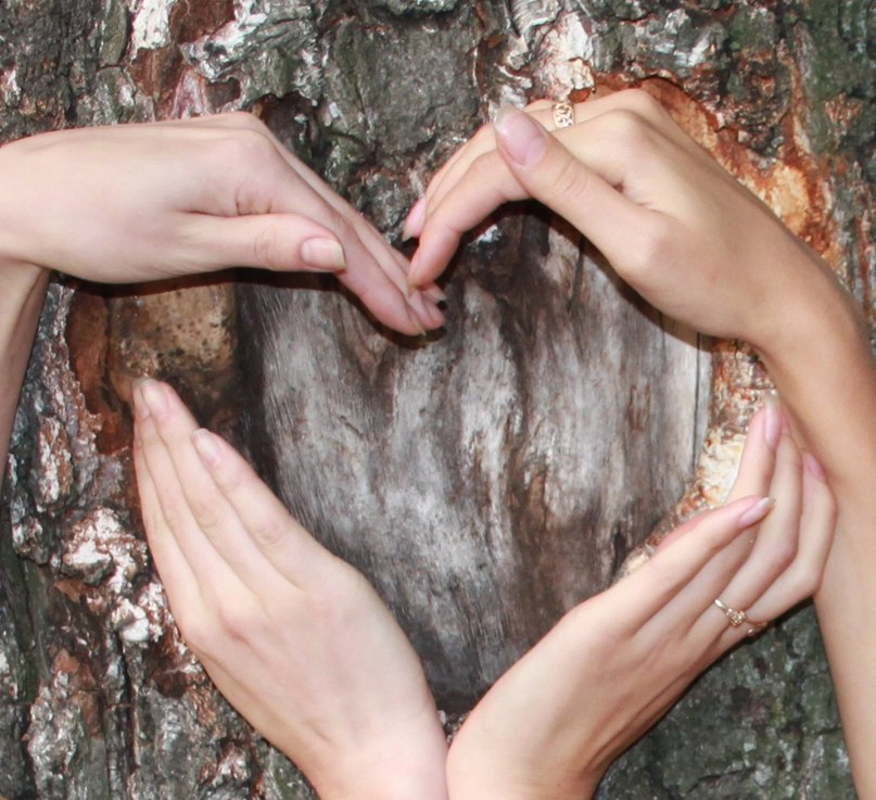 Екатерина Парамонова | Владимир