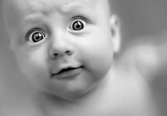 Максим Нечаев | 