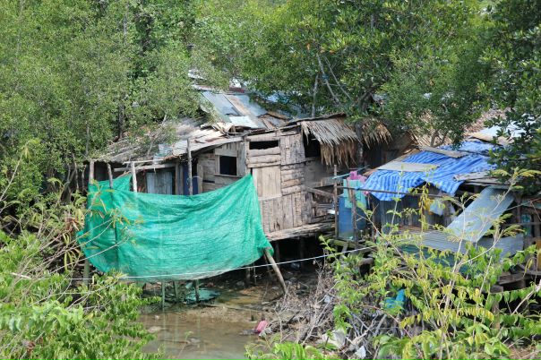 №67, Максим Шатохин, Новосибирск №67, Максим Шатохин, Новосибирск