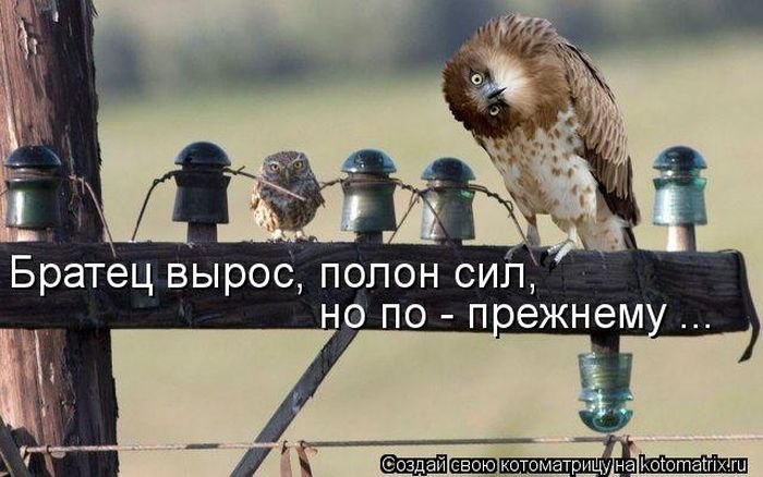 Женя Цатурян | Москва