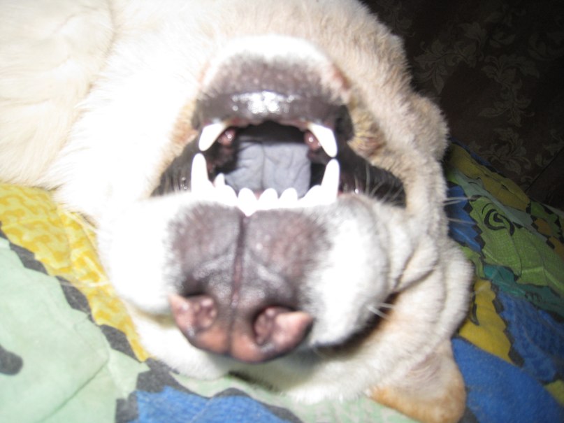 Владислав Черноок | Москва