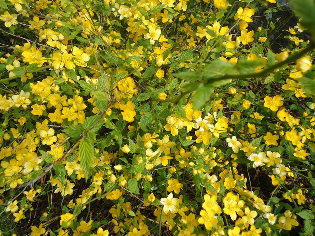 Алексей Пронин student | Минск